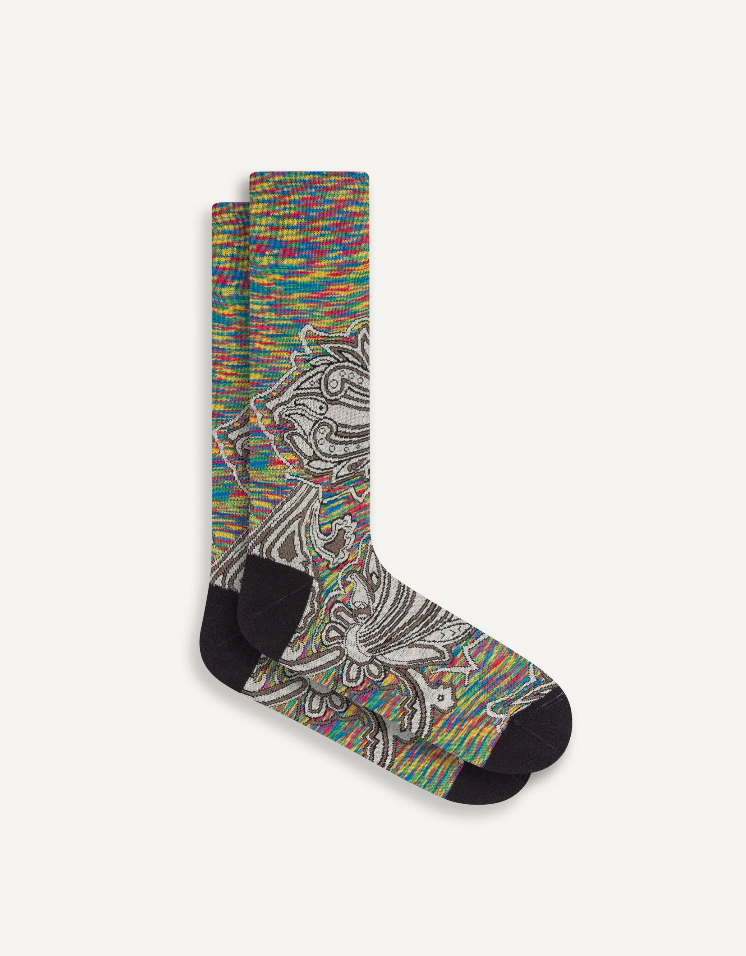 Abstract Paisley Sock