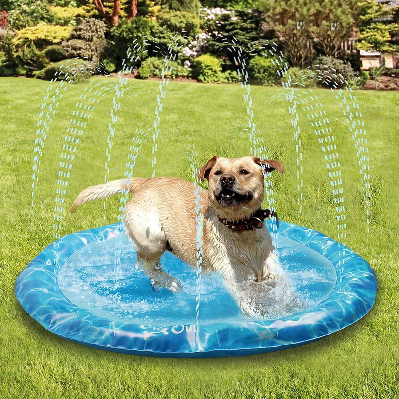 All for Paws Chill Out Sprinkler Fun Mat