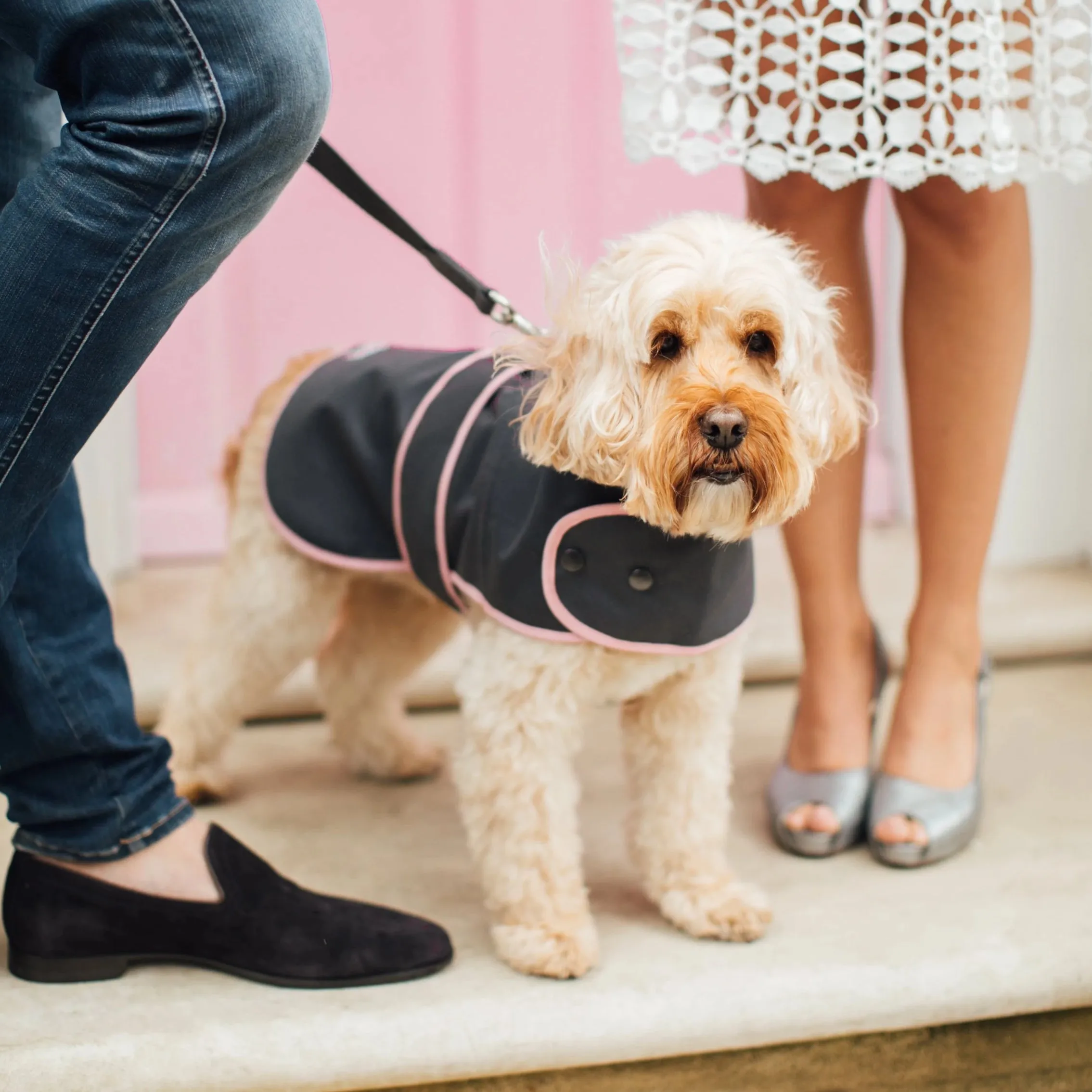 'The Melody' Grey & Pink Luxury Dog Coat